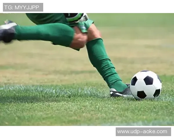 我热爱足球运动的魅力与激情以及带给我的快乐与成长